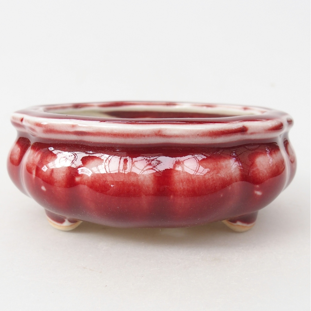 Cuenco bonsái de cerámica 10 x 10 x 4 cm, color rojo