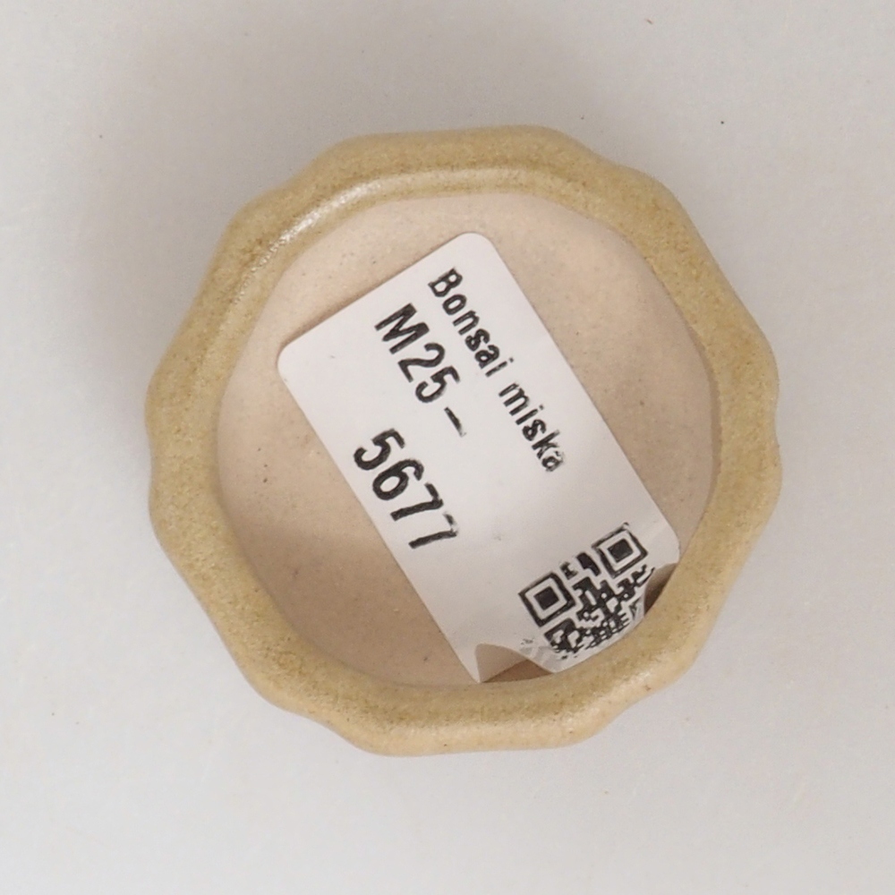 Cuenco mini bonsái 4,5 x 4,5 x 2 cm, marrón