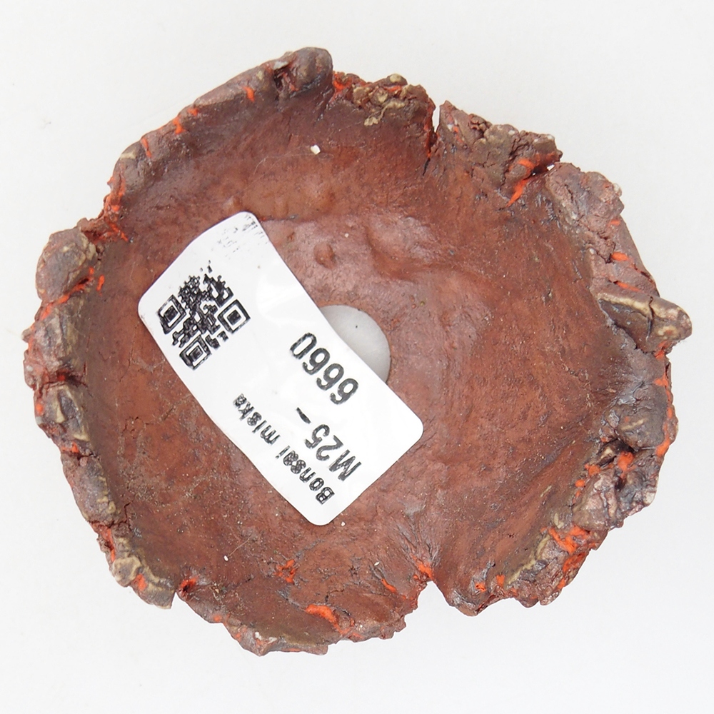 Concha de cerámica 7 x 7 x 4 cm , color naranja