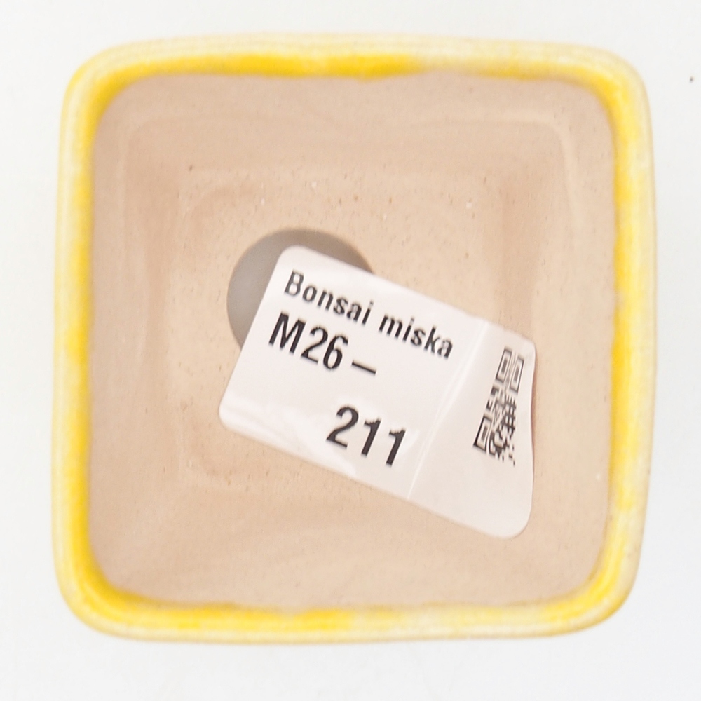 Cuenco mini bonsái 5 x 5 x 5 cm, amarillo