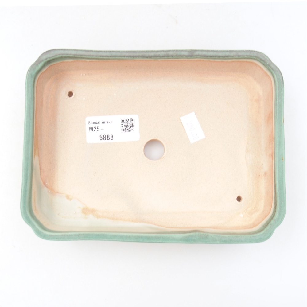 Cuenco bonsái de cerámica 22 x 17 x 5 cm, verde