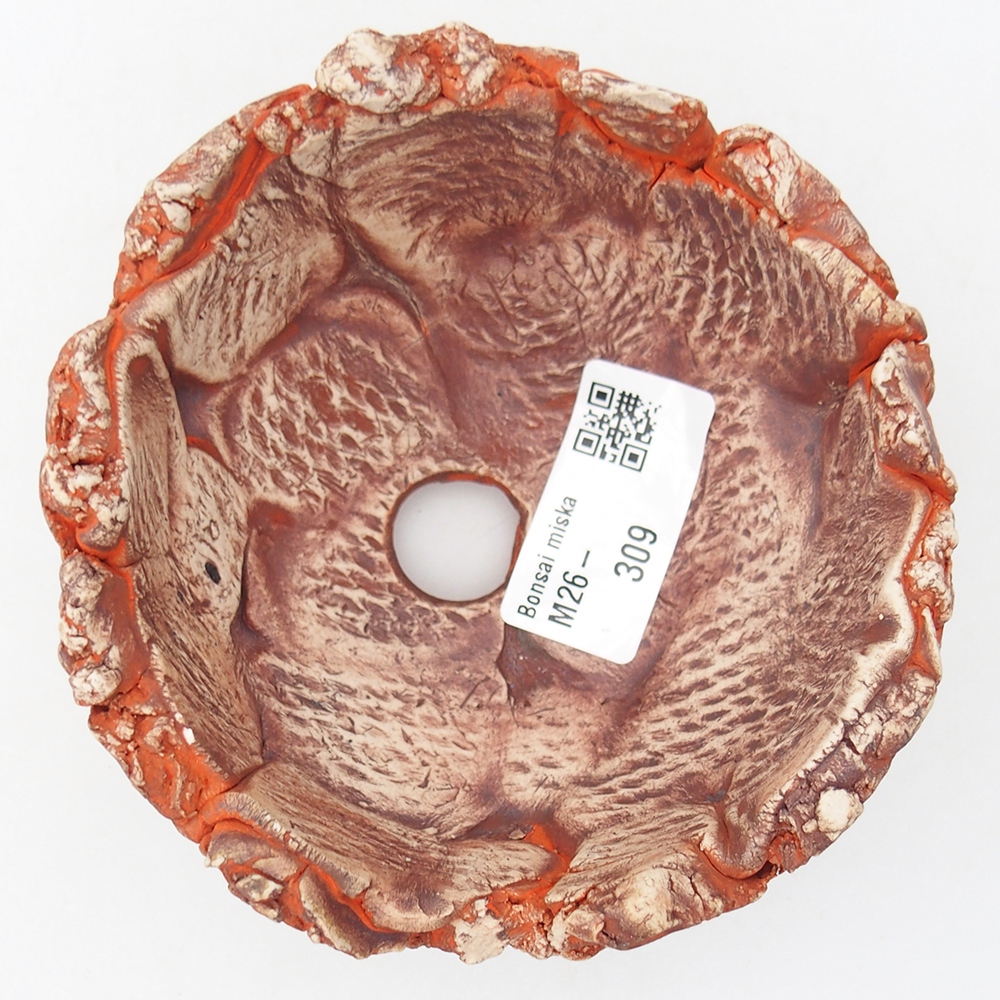 Concha de cerámica 11 x 11 x 6 cm , color naranja