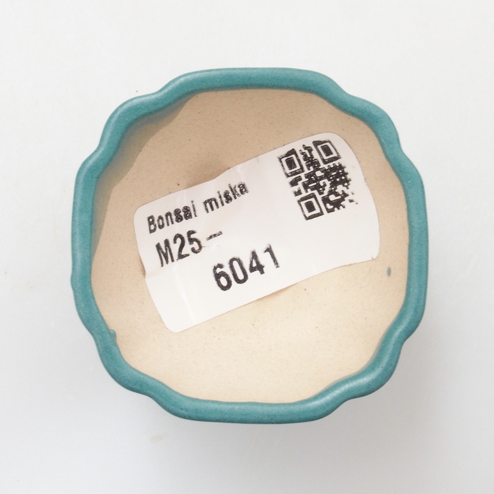 Cuenco bonsái de cerámica 6,5 x 5,5 x 4 cm, color azul