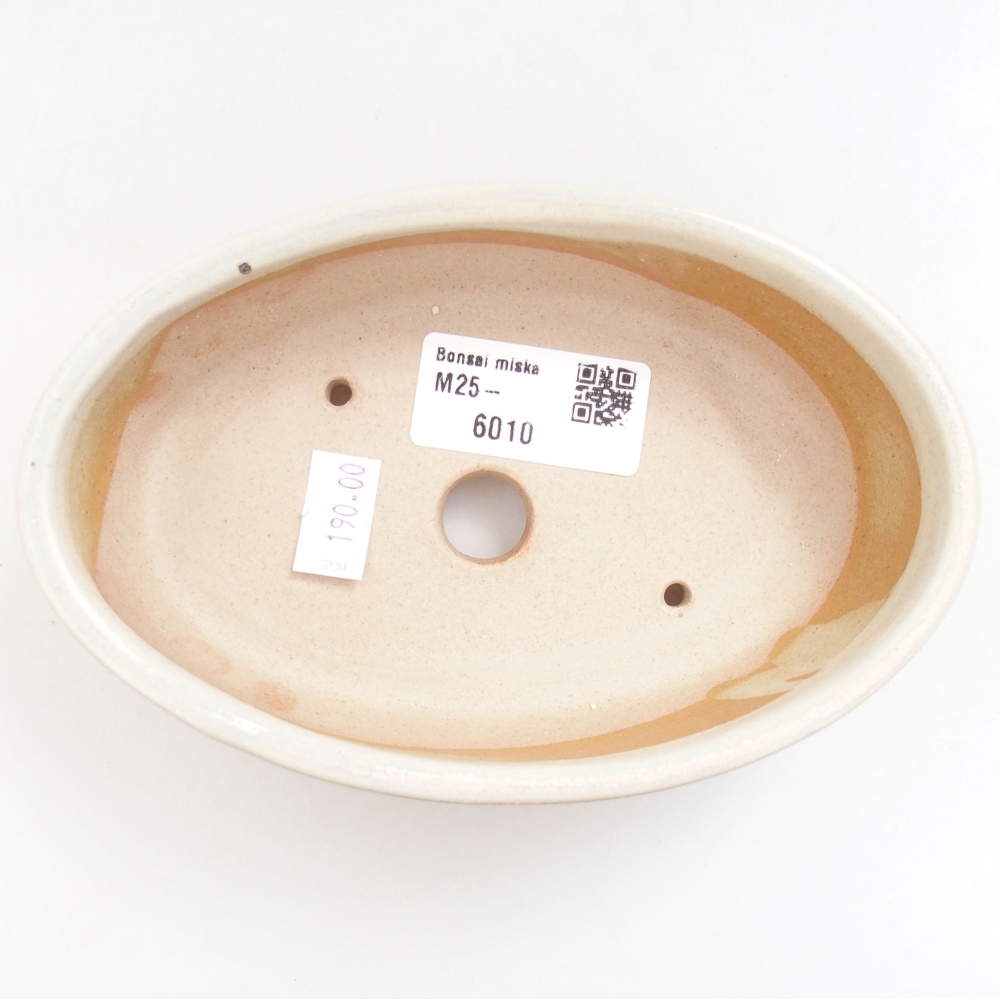 Cuenco bonsái de cerámica 22 x 17 x 5 cm, verde