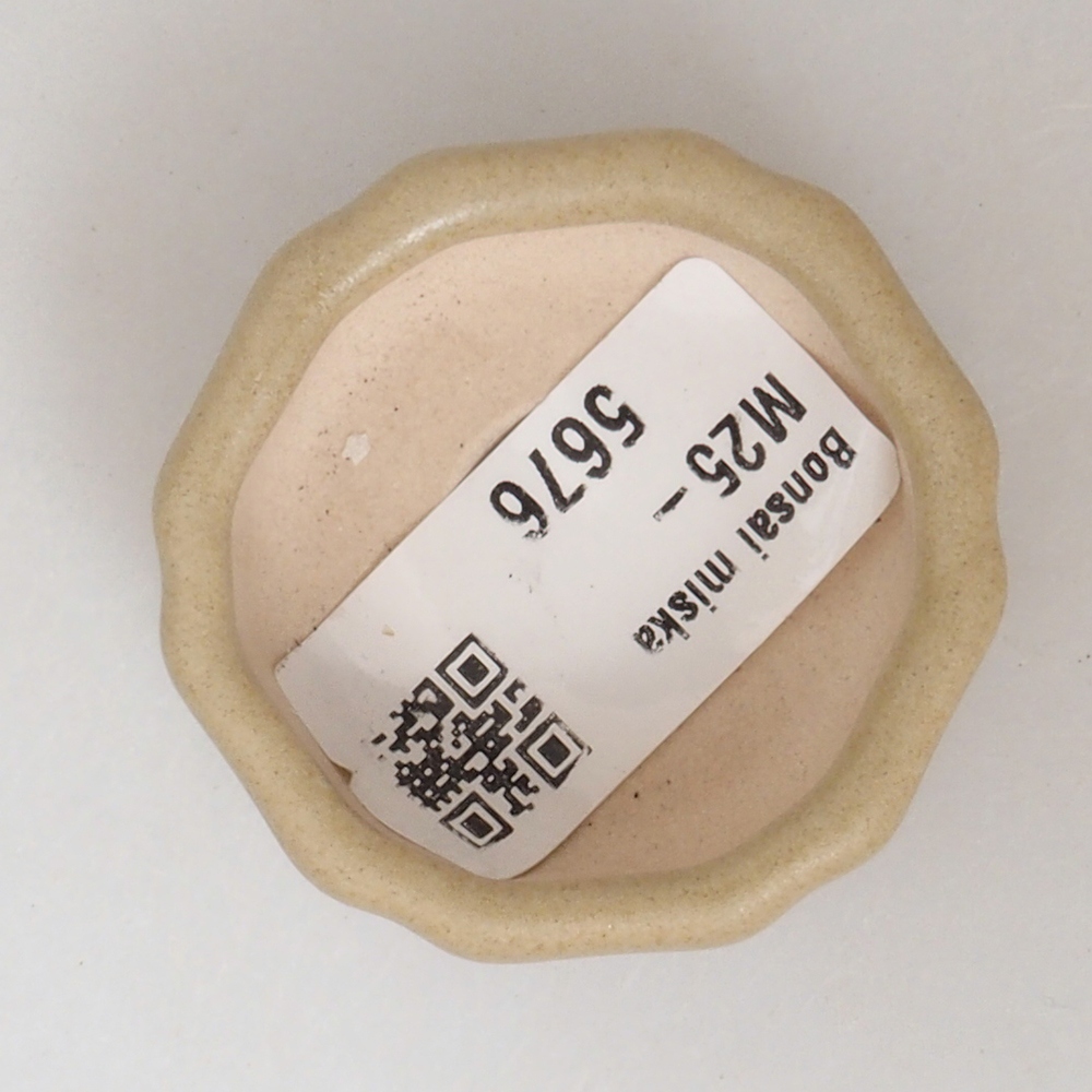 Cuenco mini bonsái 4,5 x 4,5 x 2 cm, marrón