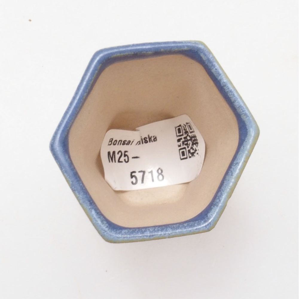 Cuenco mini bonsái 4,5 x 4,5 x 6,5 cm, color azul