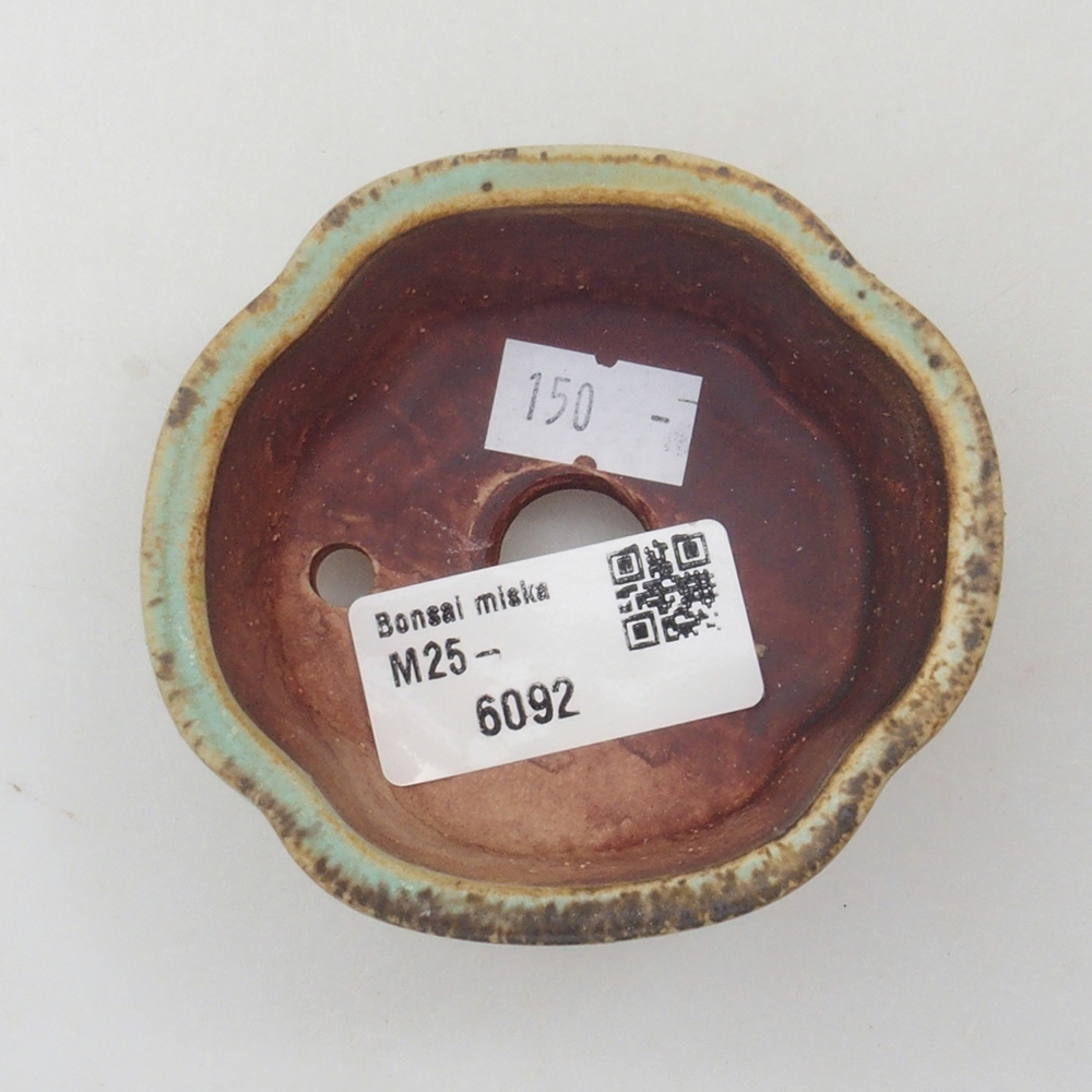 Cuenco bonsái de cerámica 10 x 8,5 x 4 cm, marrón