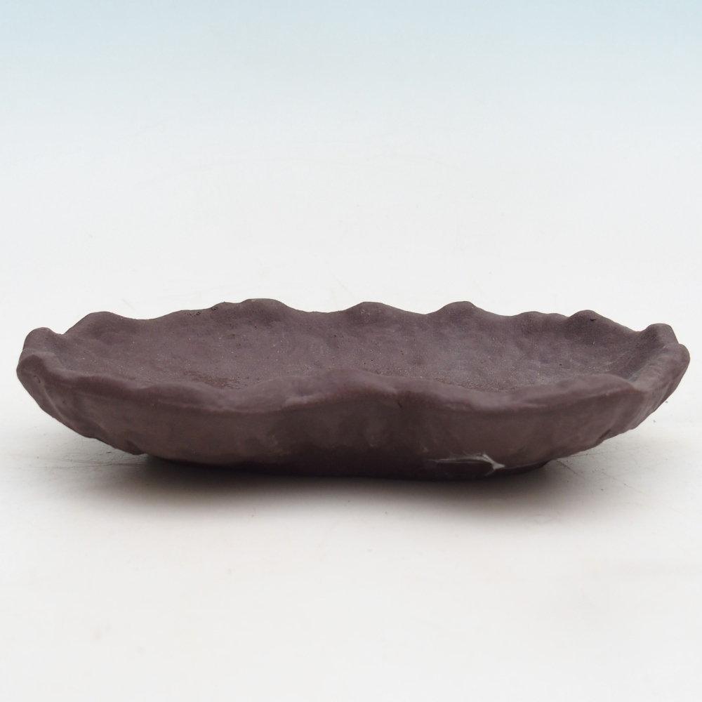 Concha de cerámica 17 x 12 x 3 cm , color marrón