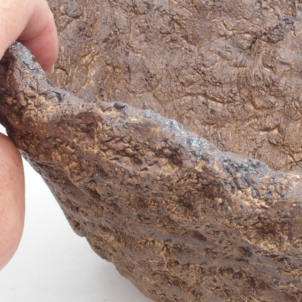 Concha de cerámica 22 x 20 x 20,5 cm , color marrón