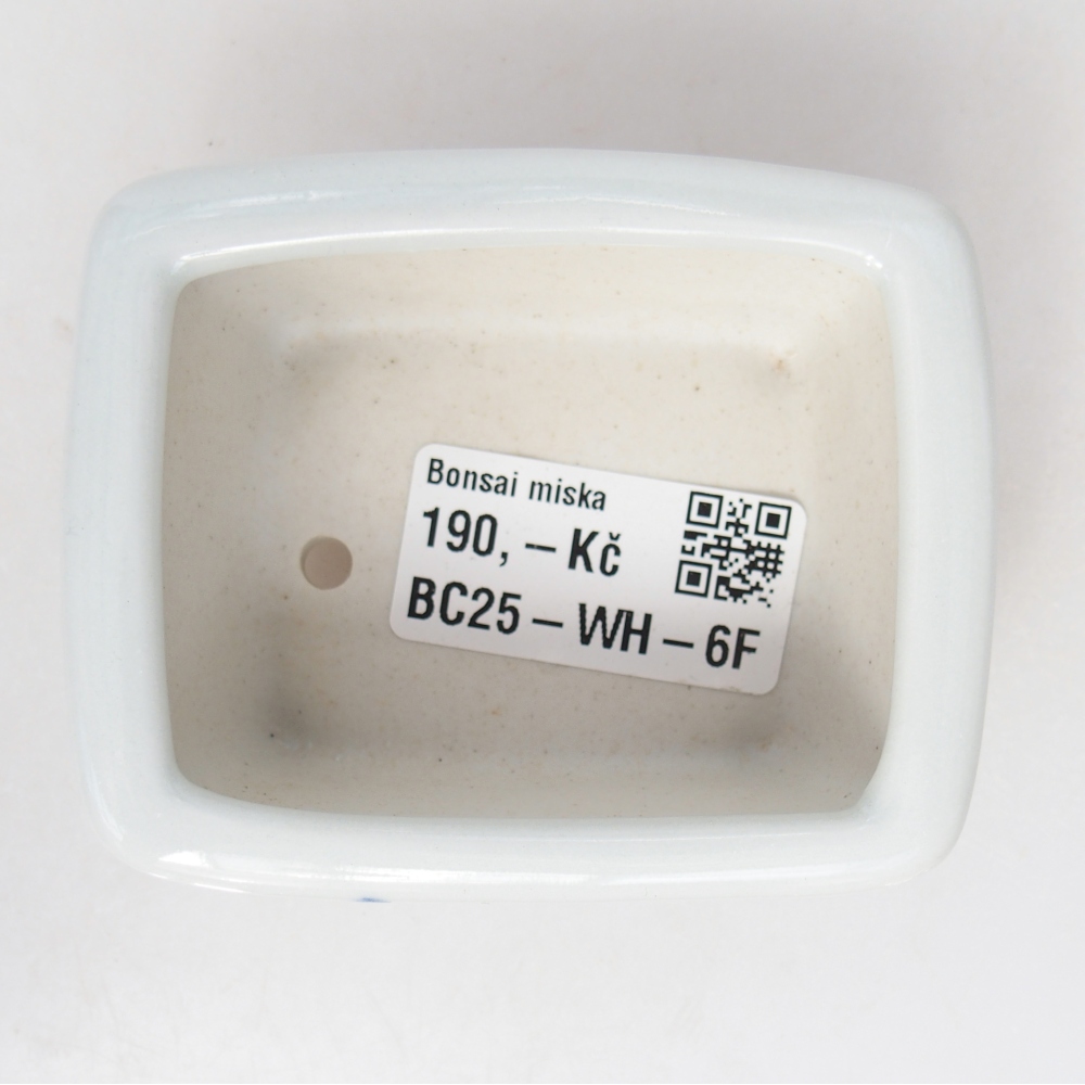 Cuenco mini bonsái 8 x 6,5 x 3,5 cm, blanco