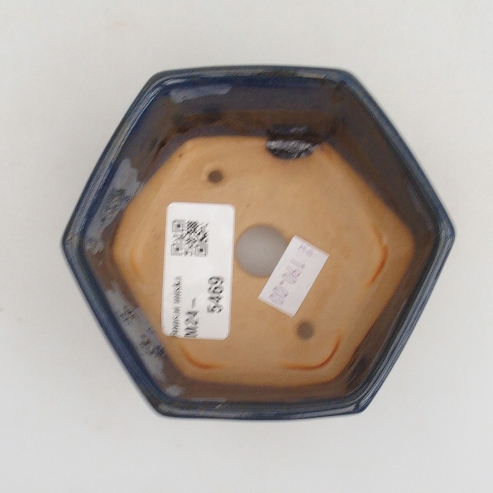 Cuenco bonsái de cerámica 9,5 x 9 x 4,5 cm, color azul