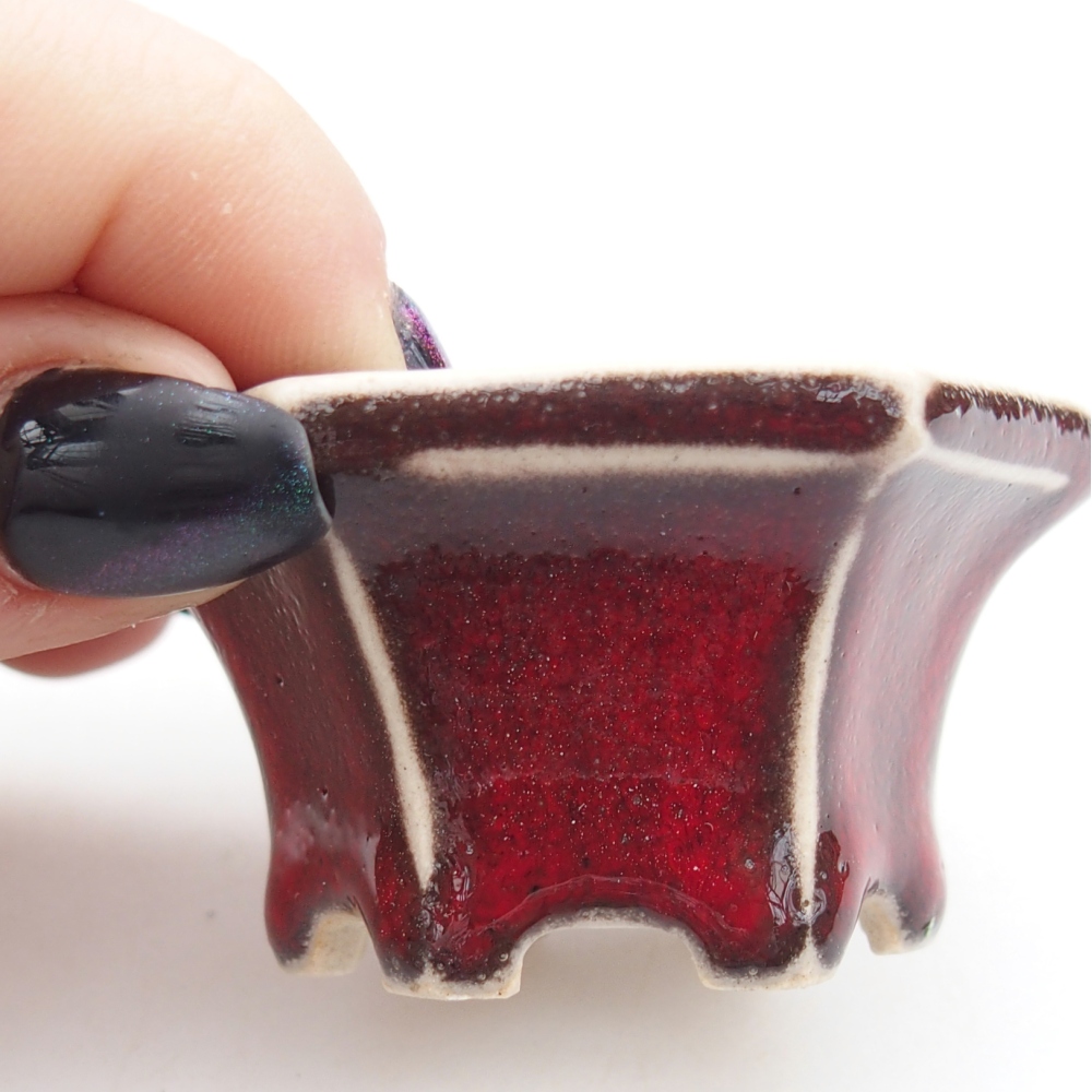 Cuenco mini bonsái 5,5 x 5 x 3 cm, color rojo