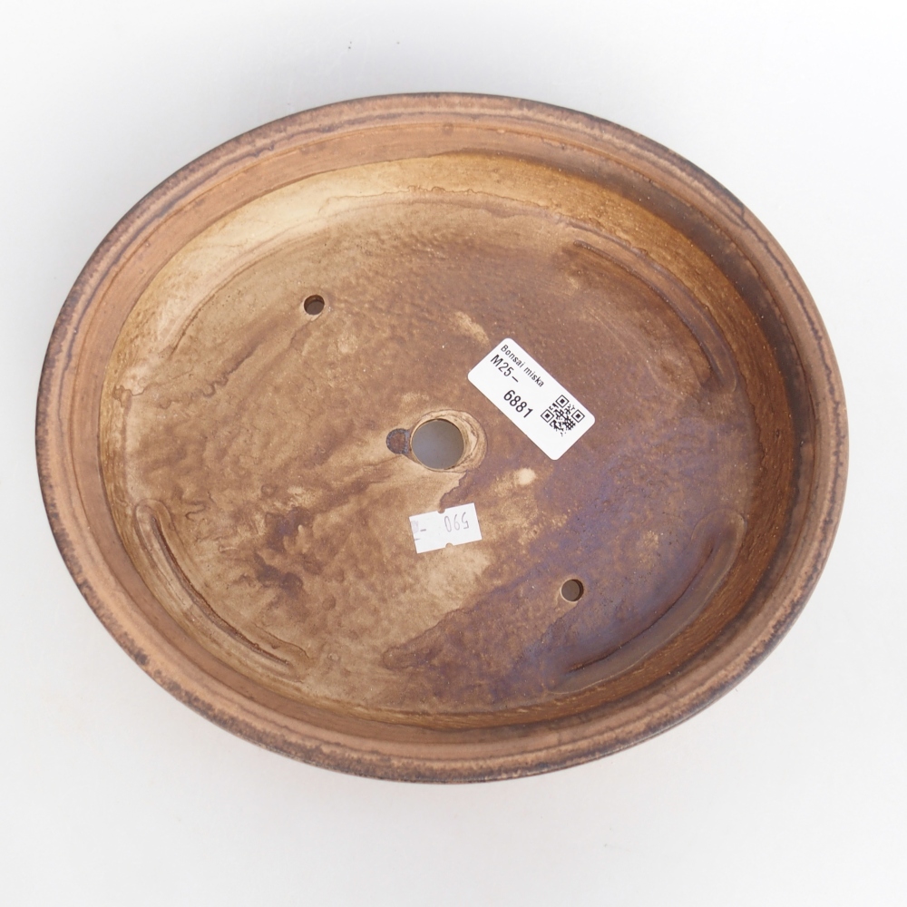 Cuenco bonsái de cerámica 24 x 20,5 x 5 cm, rosa