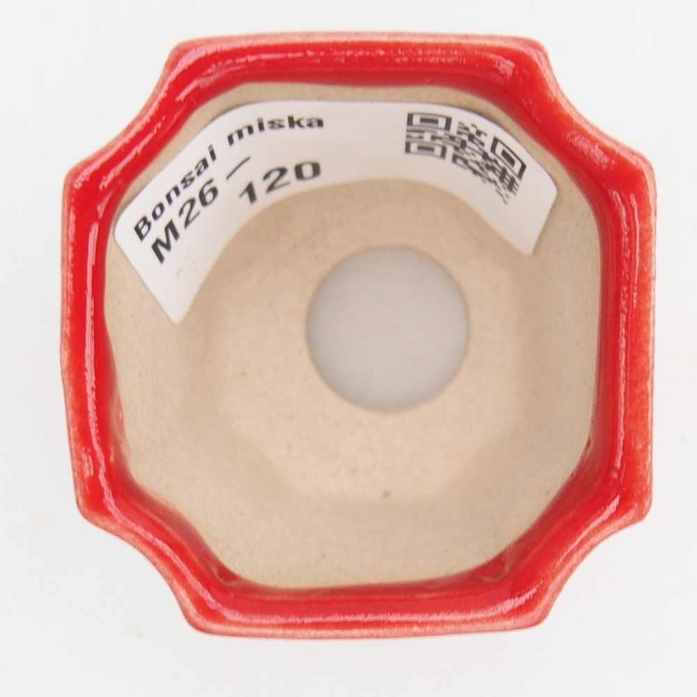 Cuenco mini bonsái 4,5 x 4,5 x 4 cm, color rojo