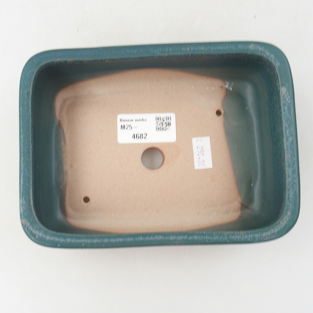 Cuenco bonsái de cerámica 17 x 12 x 5,5 cm, color azul