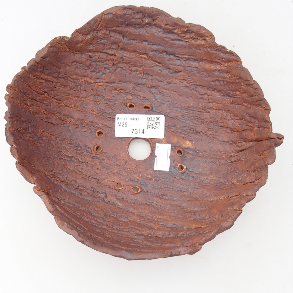 Concha de cerámica 19 x 19 x 6,5 cm , color marrón