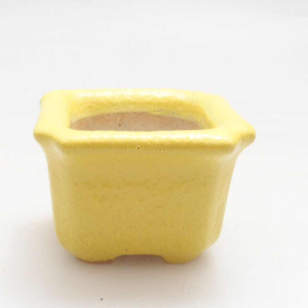 Cuenco bonsái de cerámica 3 x 3 x 2 cm, amarillo