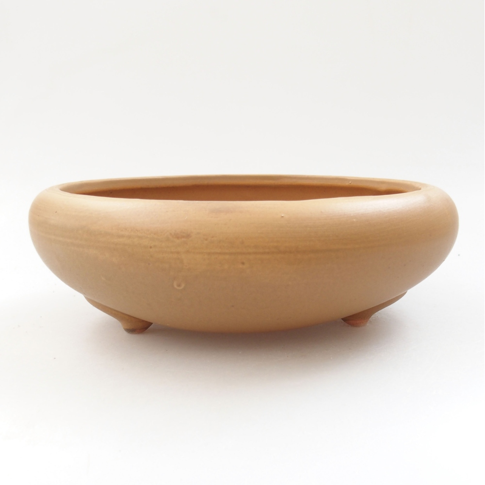 Cuenco bonsái de cerámica 21 x 21 x 7,5 cm, color beige