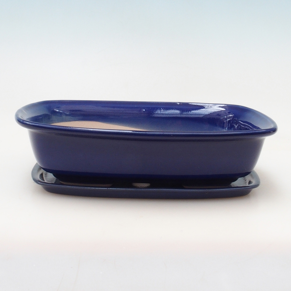 Cuenco bonsái + platillo H08 - 25 x 19,5 x 6 cm - azul
