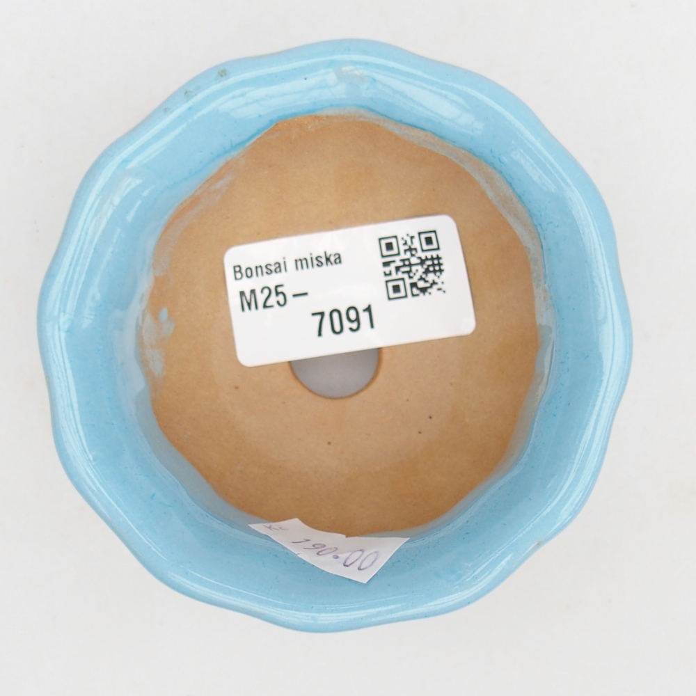 Cuenco bonsái de cerámica 8,5 x 8,5 x 4,5 cm, color azul