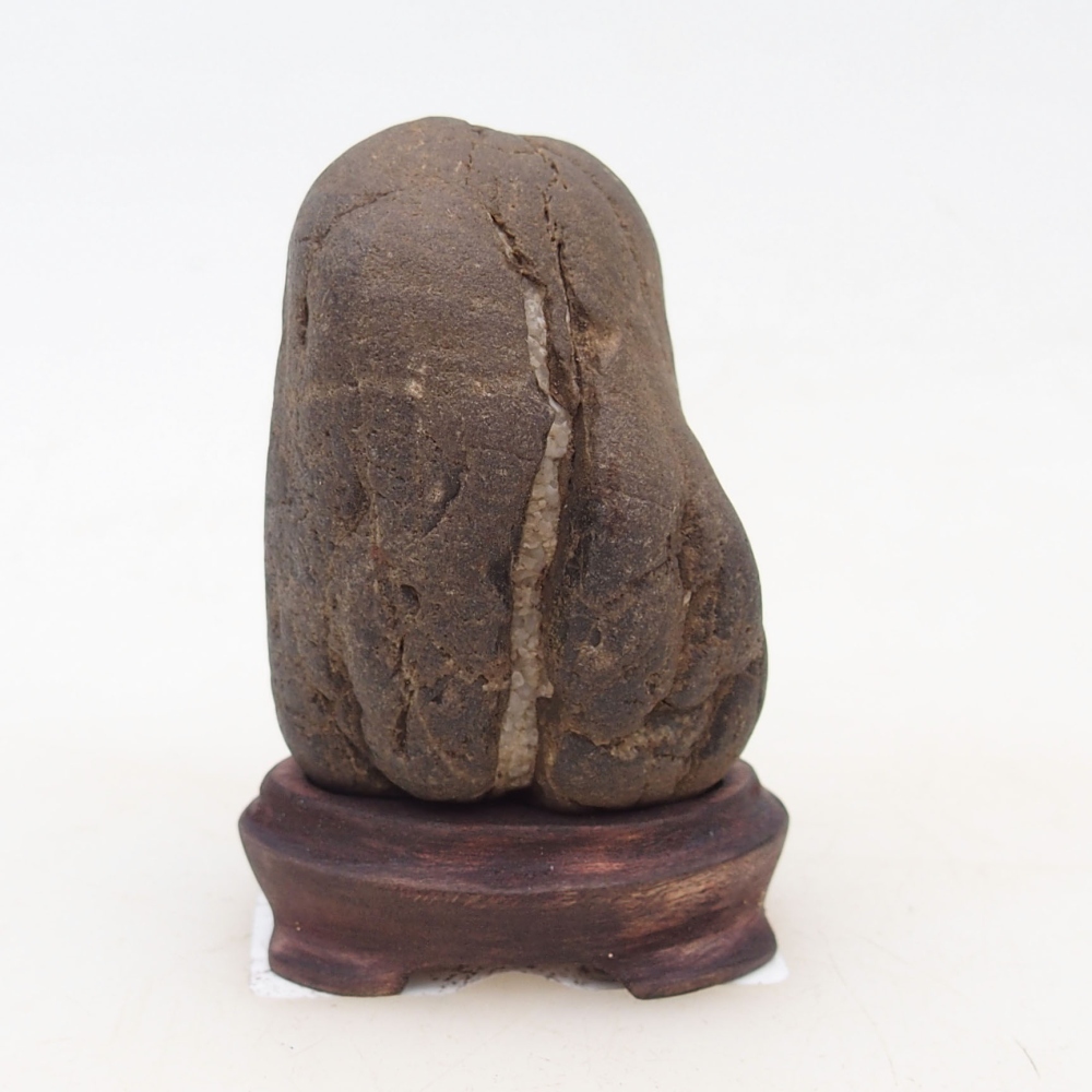 Suiseki - Piedra con DAI (base de madera)