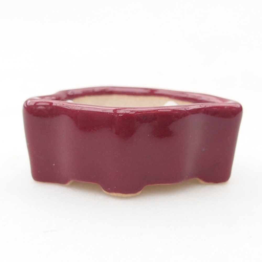 Mini cuenco bonsái 5 x 3 x 2 cm, burdeos