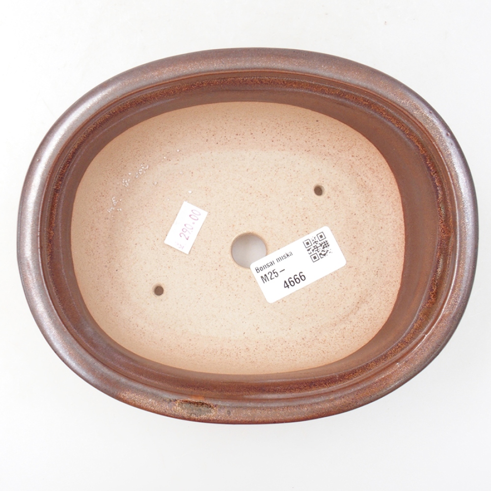 Cuenco bonsái de cerámica 18 x 14,5 x 6 cm, marrón