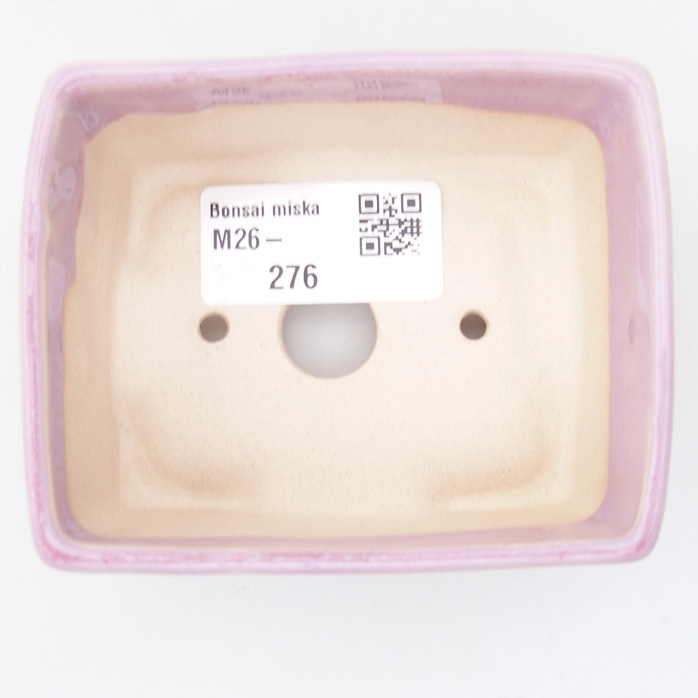 Cuenco mini bonsái 9 x 7 x 4 cm, rosa