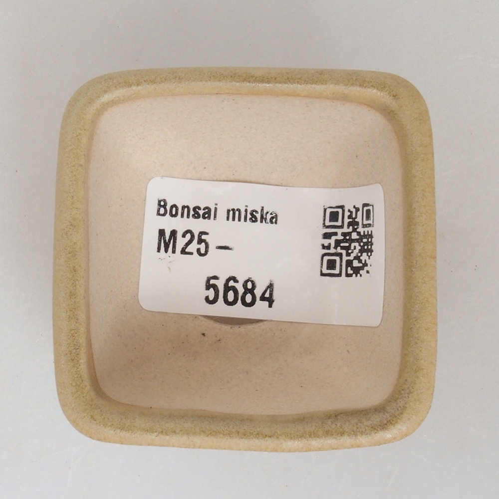 Cuenco mini bonsái 4,5 x 4,5 x 3 cm, marrón