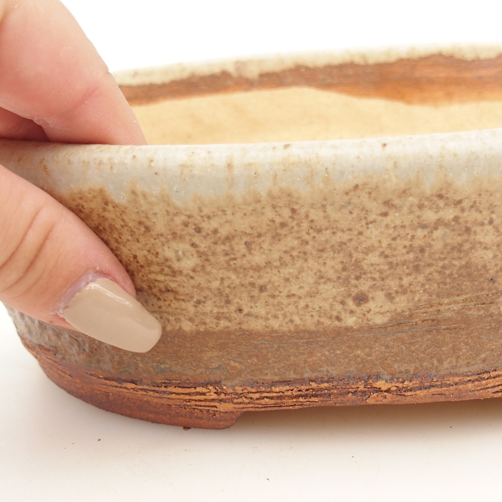 Cuenco bonsái 20 x 16 x 6,5 cm , color beige