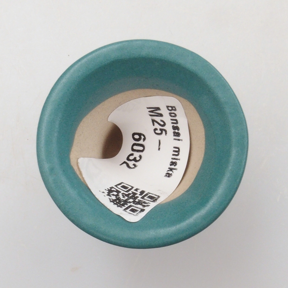 Cuenco bonsái de cerámica 6,5 x 5,5 x 4 cm, color azul