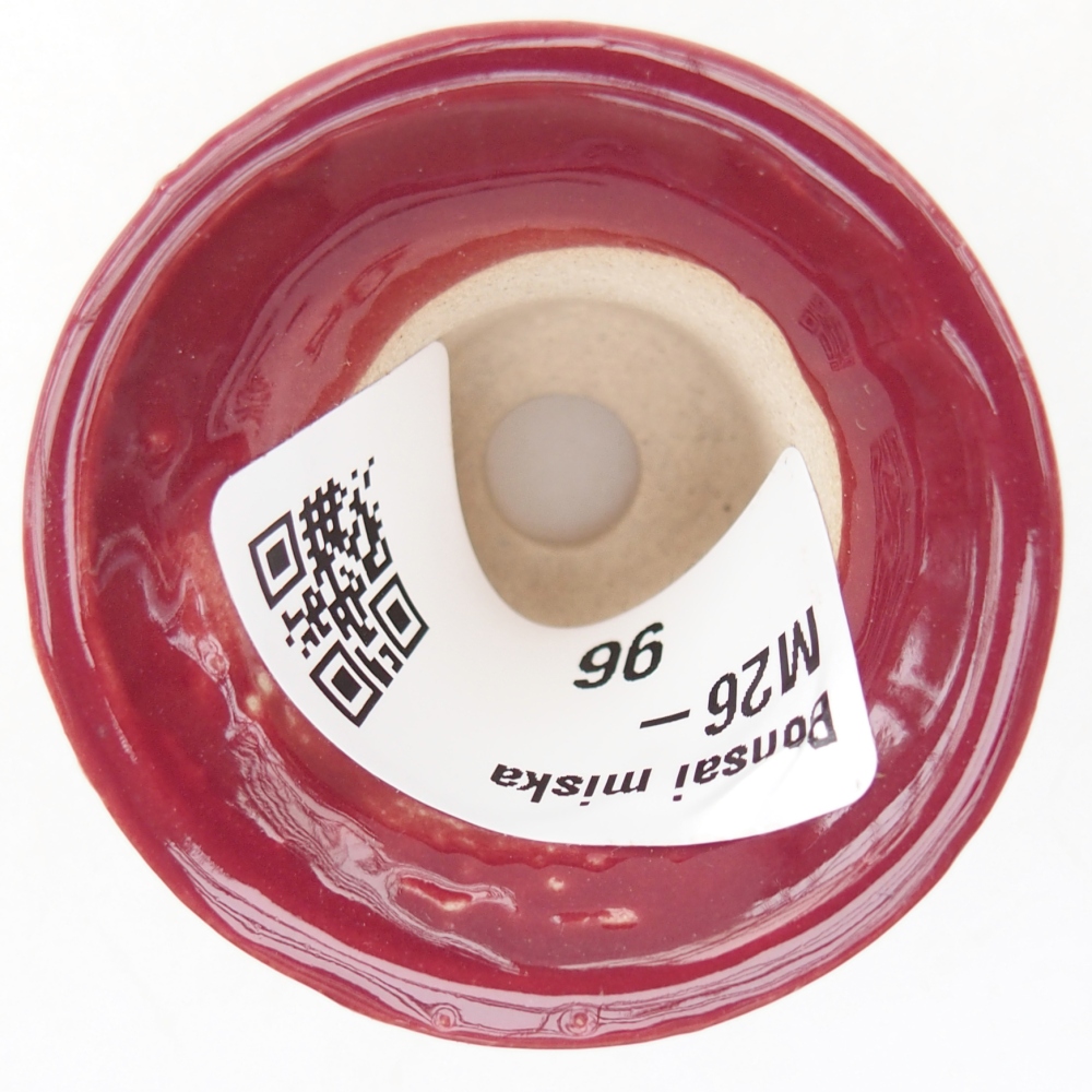 Cuenco mini bonsái 4,5 x 4,5 x 4 cm, color burdeos