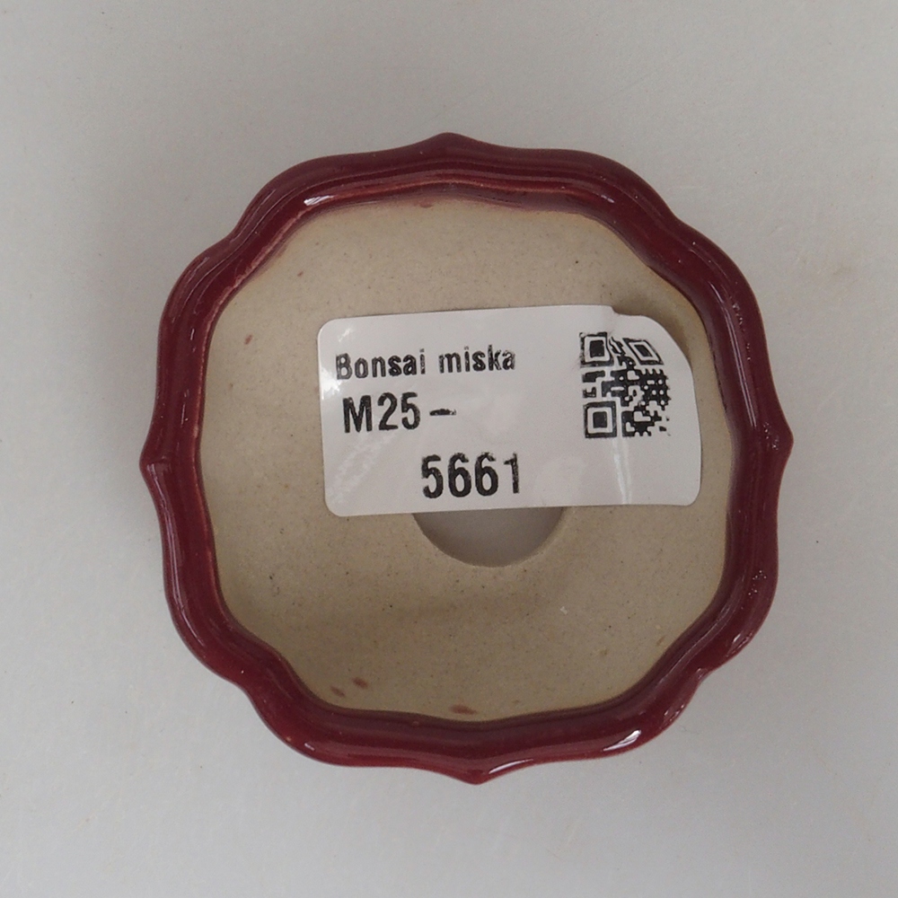 Mini cuenco bonsái 5,5 x 5,5 x 2,5 cm, burdeos