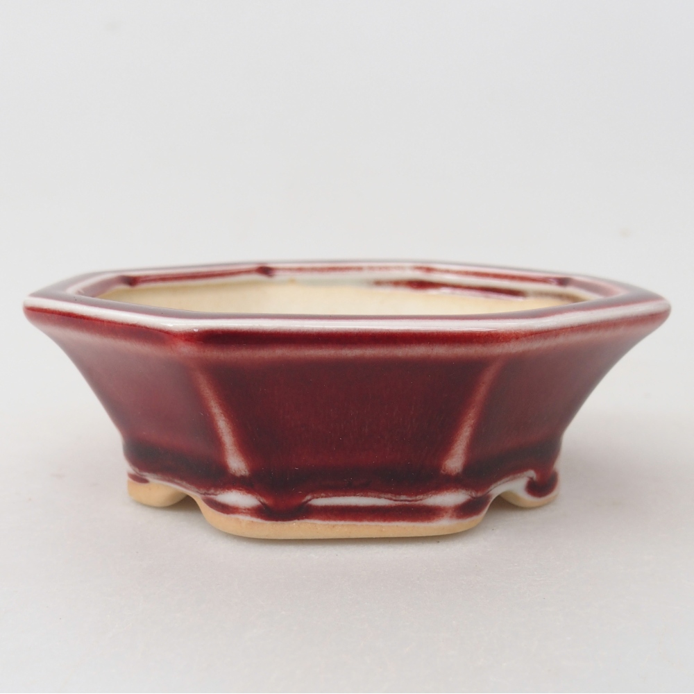 Mini cuenco bonsái 11 x 10 x 3,5 cm, color rojo