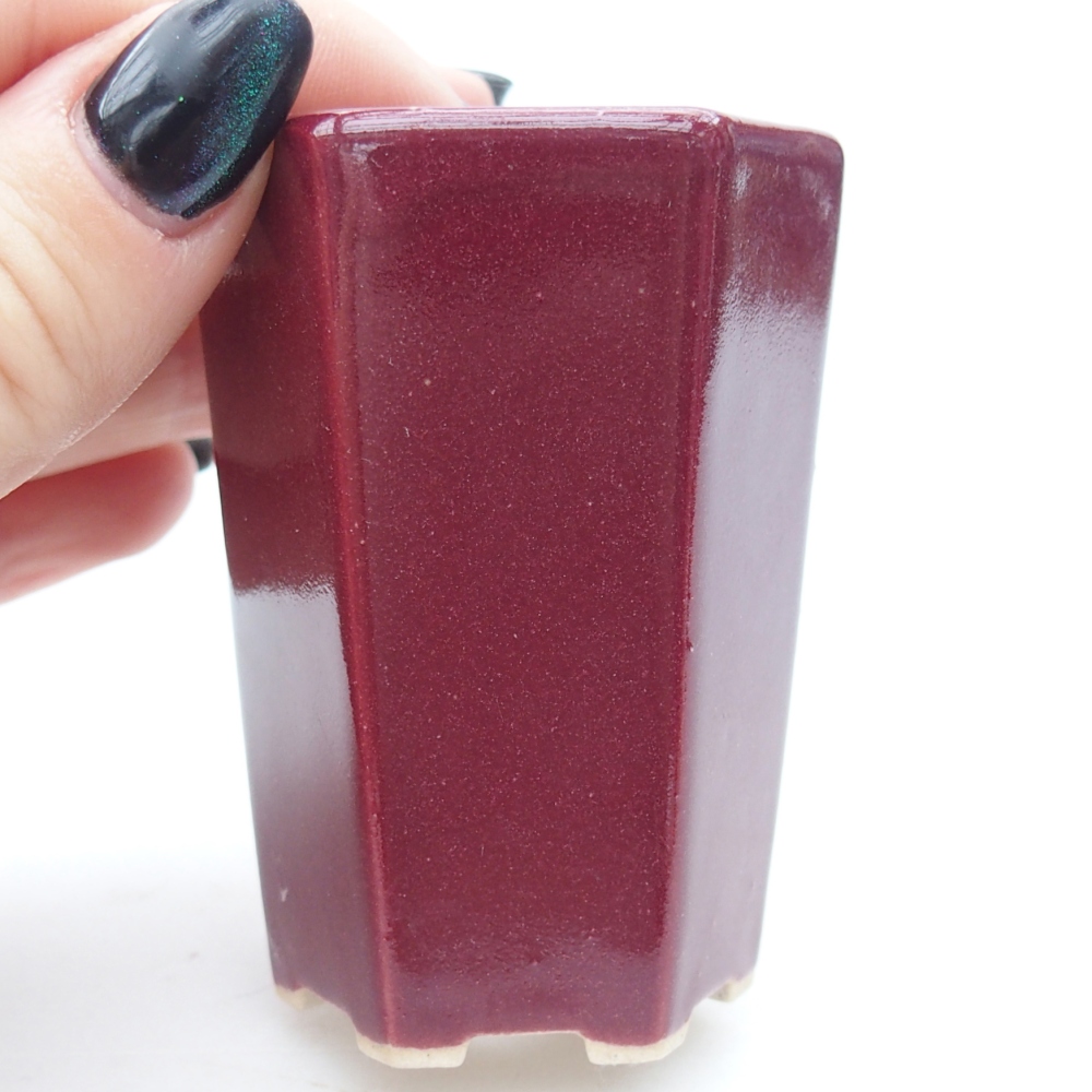 Mini cuenco bonsái 5 x 4,5 x 6,5 cm, burdeos