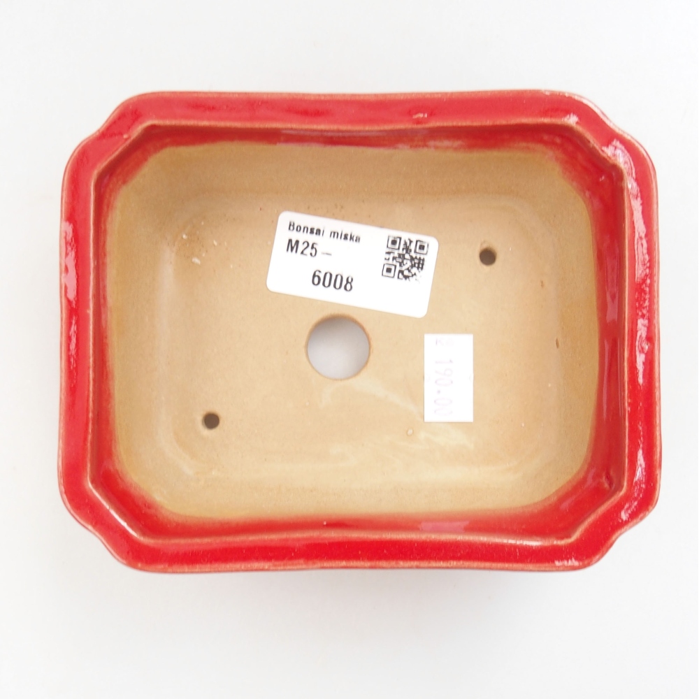 Cuenco bonsái de cerámica 22 x 17 x 5 cm, verde