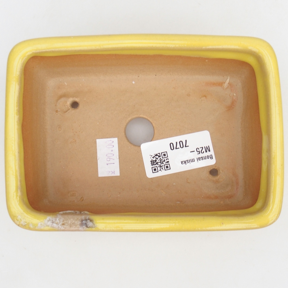 Cuenco bonsái de cerámica 13,5 x 10 x 4,5 cm, amarillo