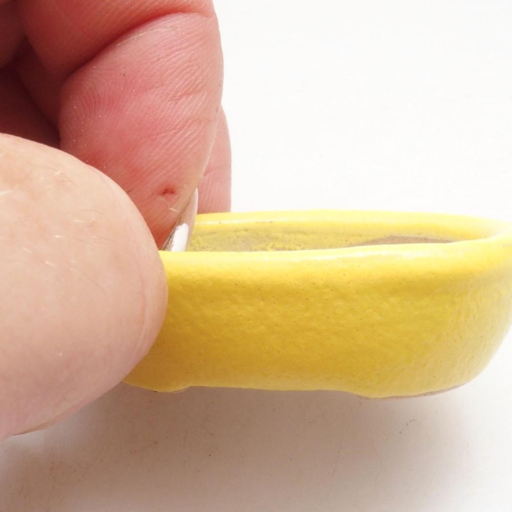 Cuenco bonsái de cerámica 4 x 3 x 1,5 cm, amarillo