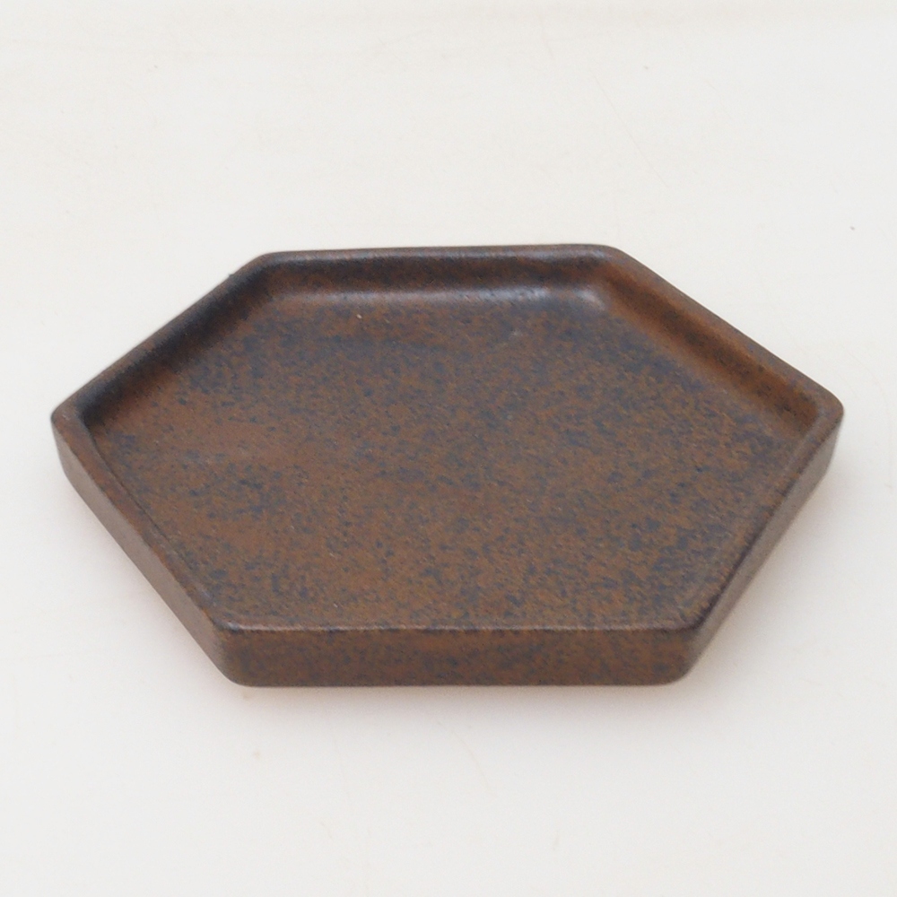 Bonsái hexágono D3 - 11 x 9,5 x 1 cm - marrón