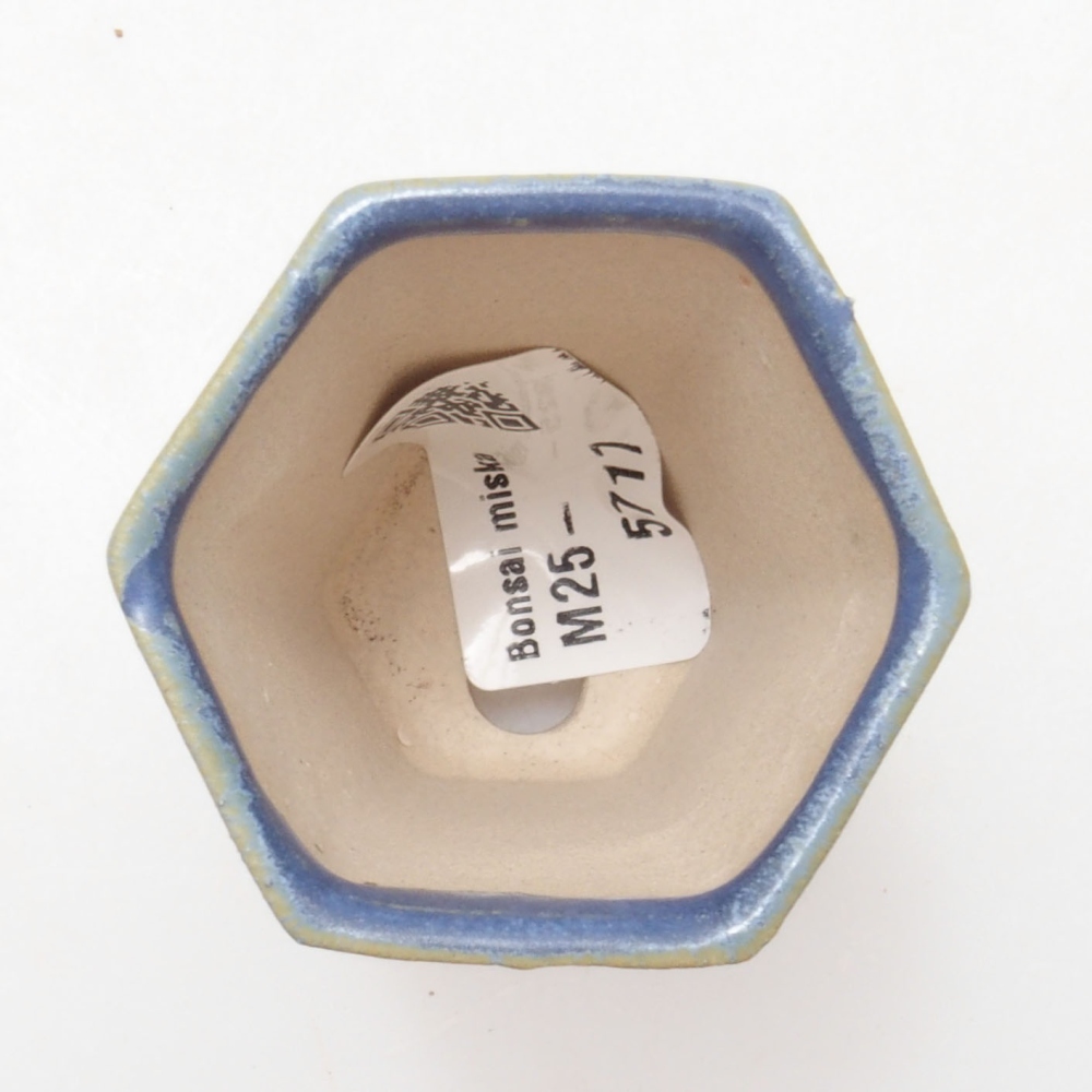 Cuenco mini bonsái 4,5 x 4,5 x 6,5 cm, color azul