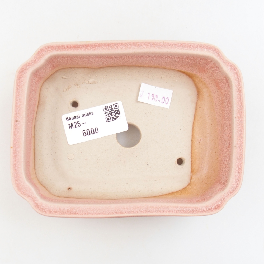 Cuenco bonsái de cerámica 22 x 17 x 5 cm, verde