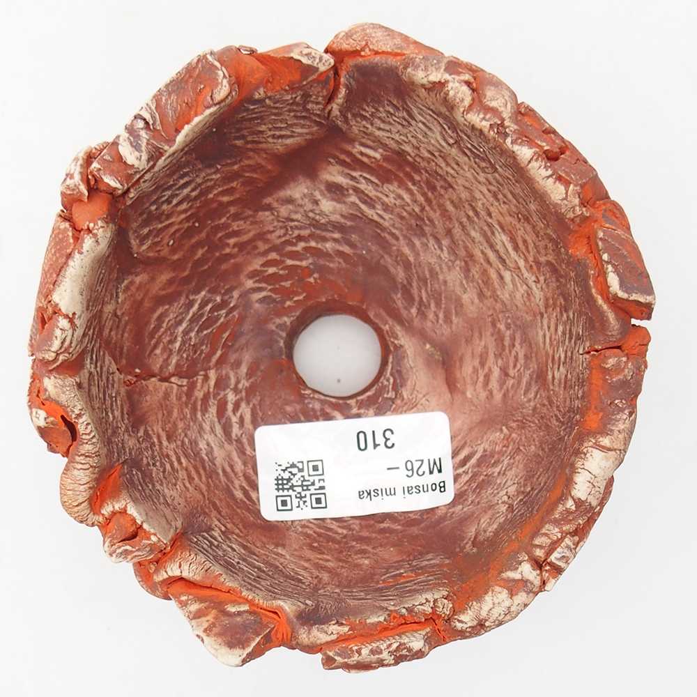 Concha de cerámica 11 x 11 x 6,5 cm , color naranja