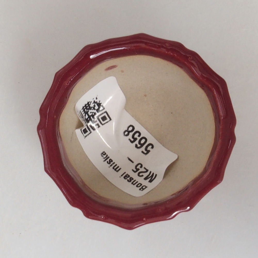 Mini cuenco bonsái 5 x 5 x 3 cm, burdeos