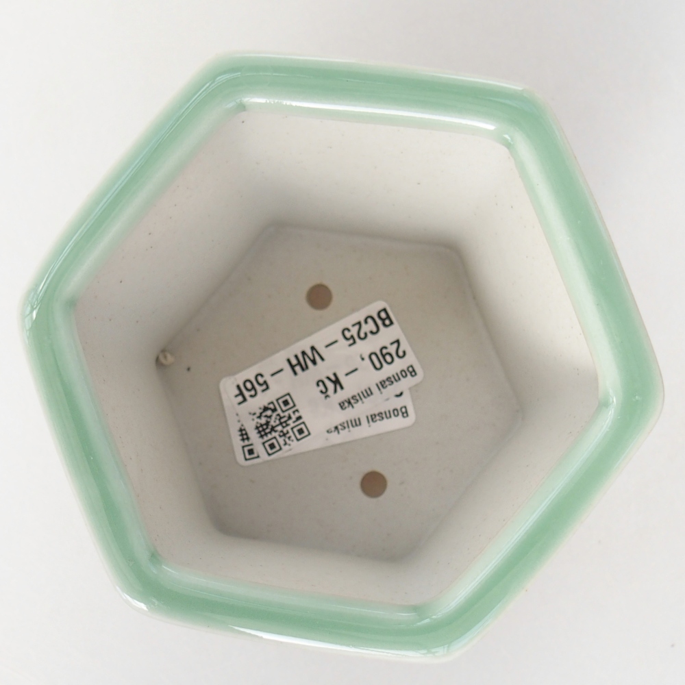 Cuenco bonsái de cerámica 10,5 x 9,5 x 8,5 cm, verde