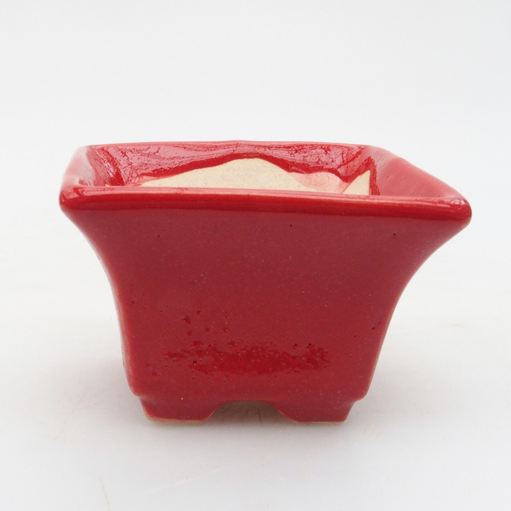 Mini cuenco bonsái 5,5 x 5,5 x 3,5 cm, color rojo
