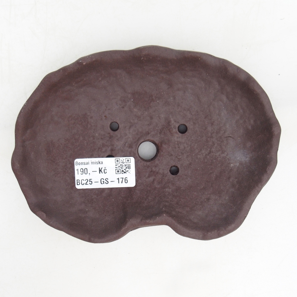 Concha de cerámica 17 x 12 x 3 cm , color marrón