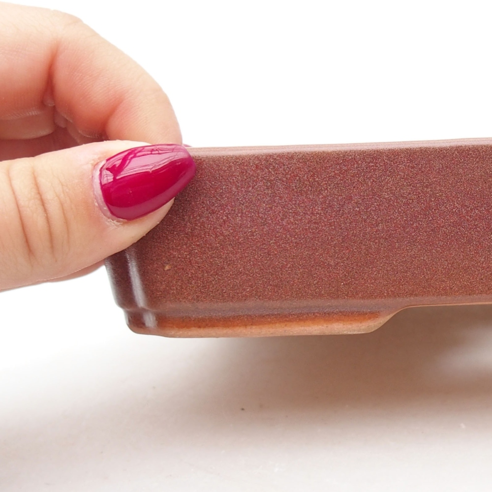 Cuenco bonsái de cerámica 18 x 13 x 3 cm, burdeos