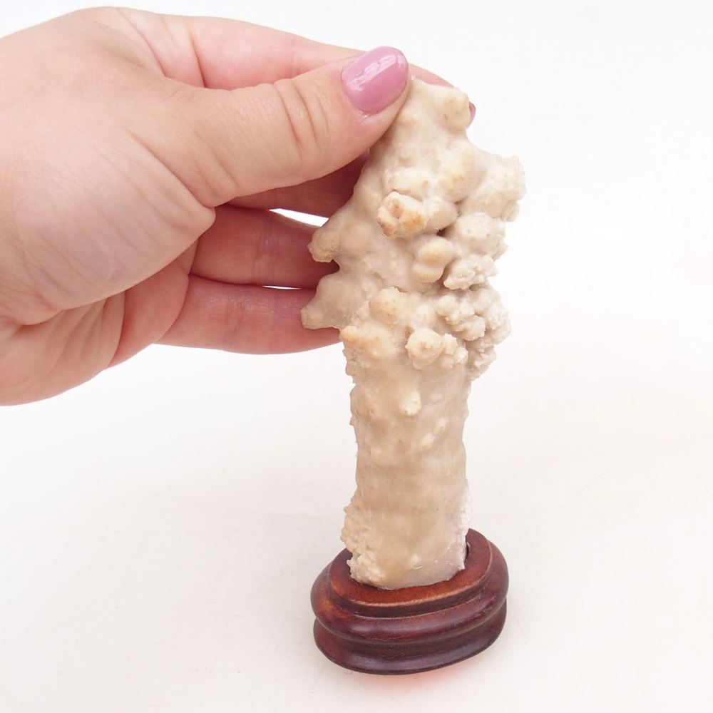 Suiseki - Piedra con DAI (base de madera)