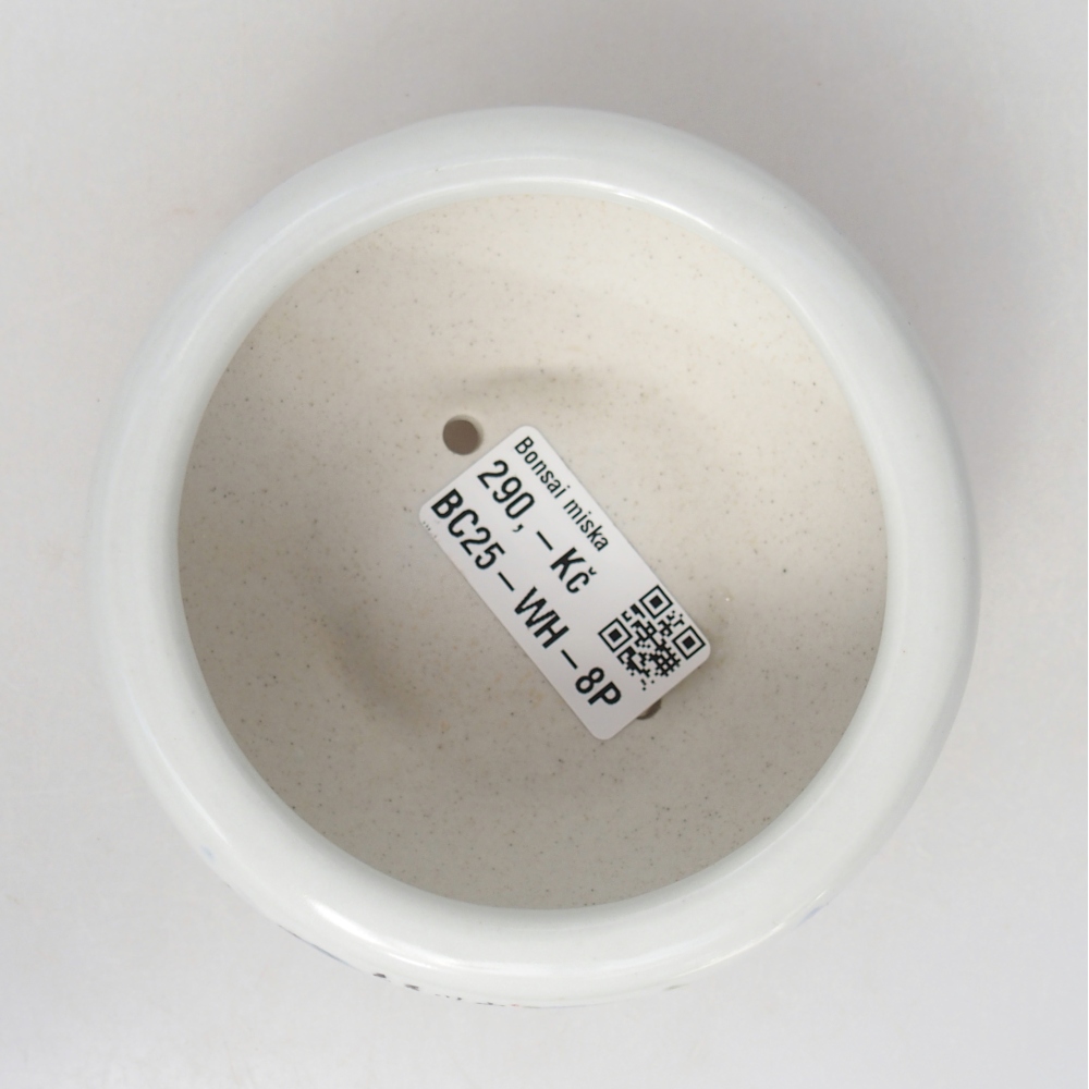 Cuenco bonsái de cerámica 10 x 10 x 5 cm, color blanco