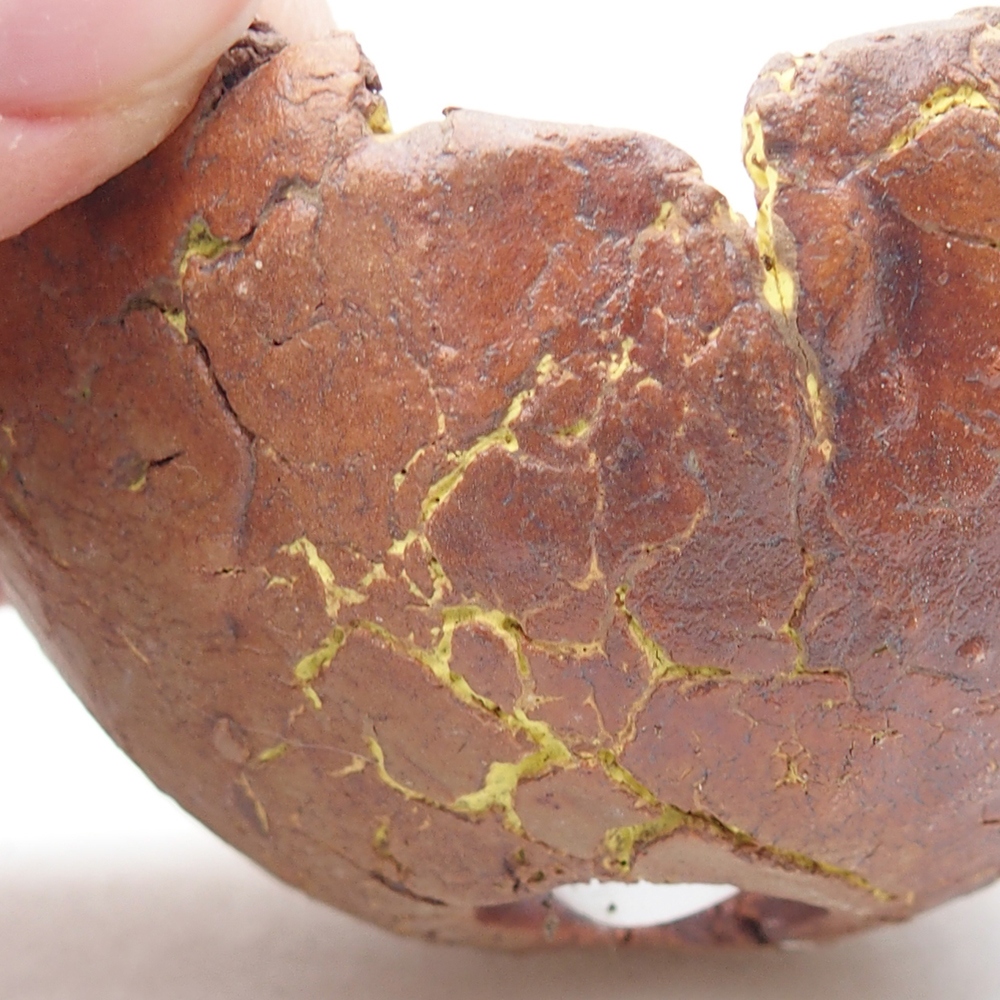 Concha de cerámica 7 x 6,5 x 4 cm , color amarillo